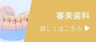審美歯科 詳しくはこちら